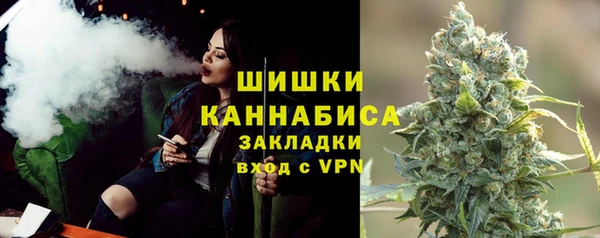 ПСИЛОЦИБИНОВЫЕ ГРИБЫ Балахна