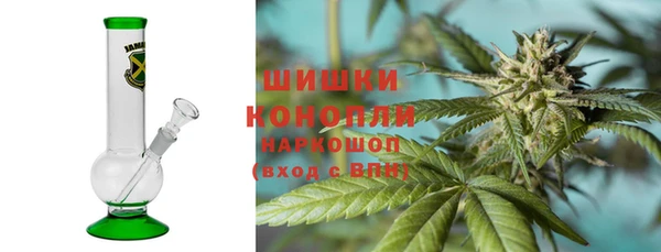 ПСИЛОЦИБИНОВЫЕ ГРИБЫ Балахна