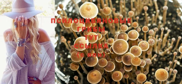 амф Баксан