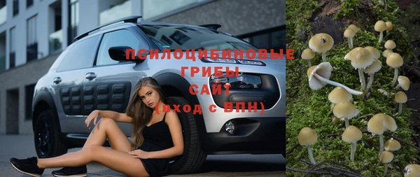 ПСИЛОЦИБИНОВЫЕ ГРИБЫ Балахна